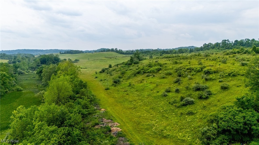 0 Piney Fork Rd, Dillonvale, OH 43917 - photo 1
