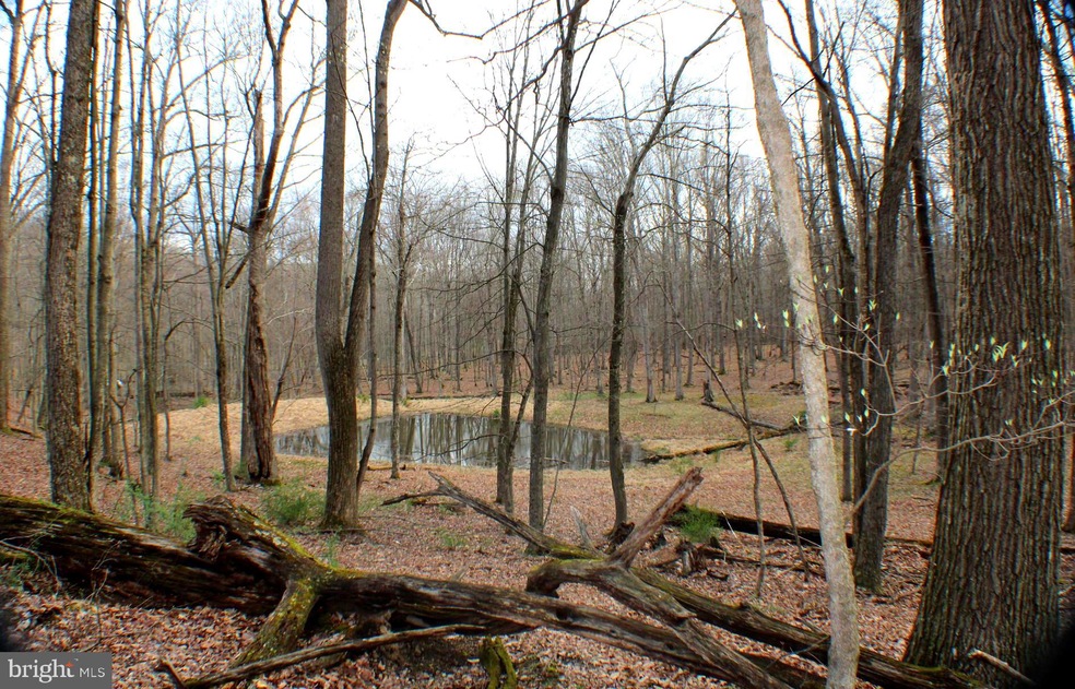 Lot 33 Beech Ln, Capon, WV 26801 - photo 1