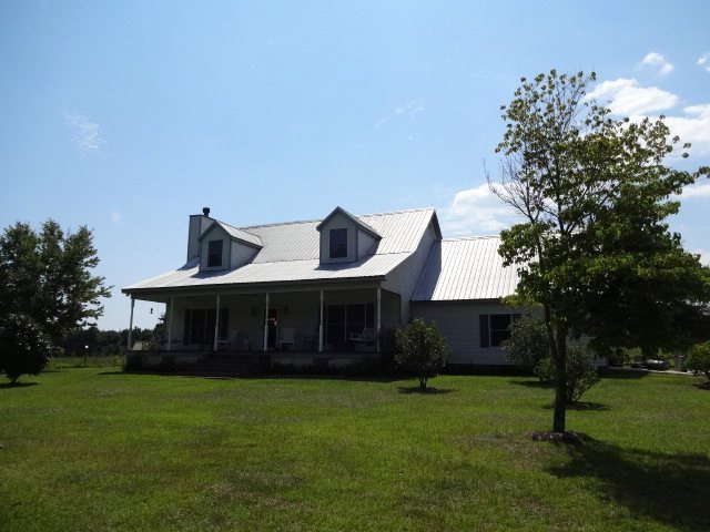 Main View