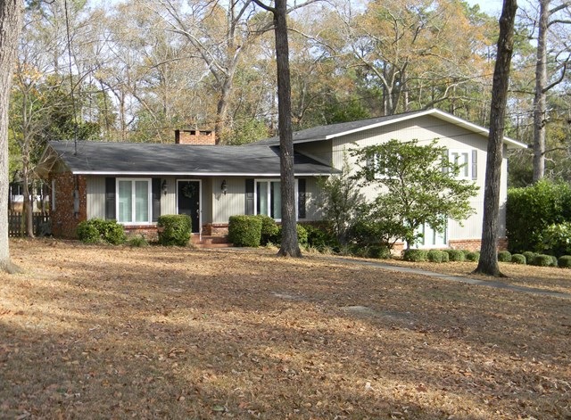 Main View