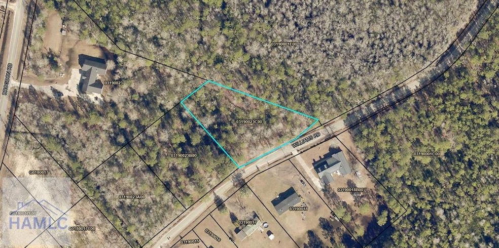 Tract 3 Williams St, Guyton, GA 31312 - photo 1