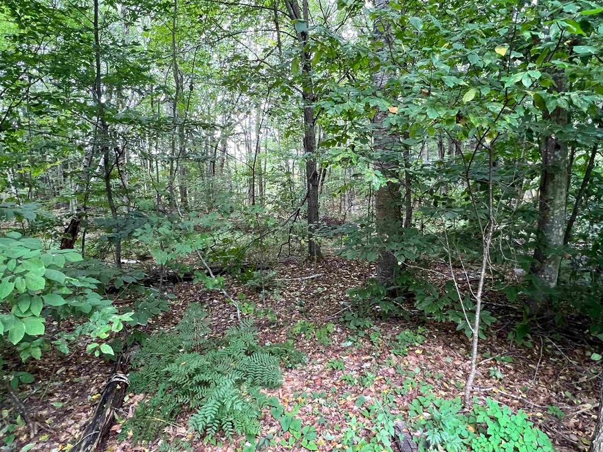 138 Deer Meadow Rd unit 138, Webster, NH 03303 - photo 1