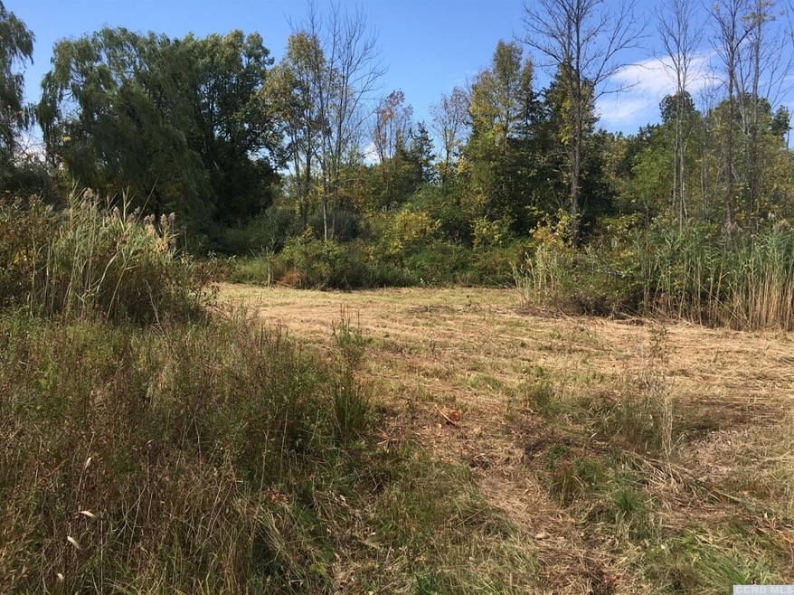 0 Roundtop #4 Rd, Germantown, NY 12526 - photo 1