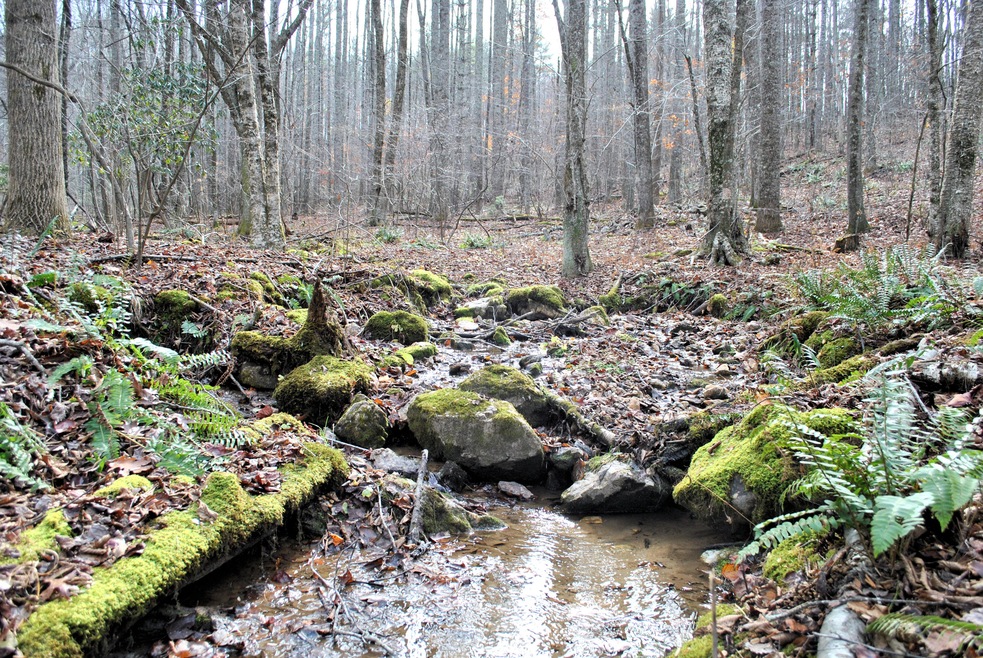 15.126 Acres