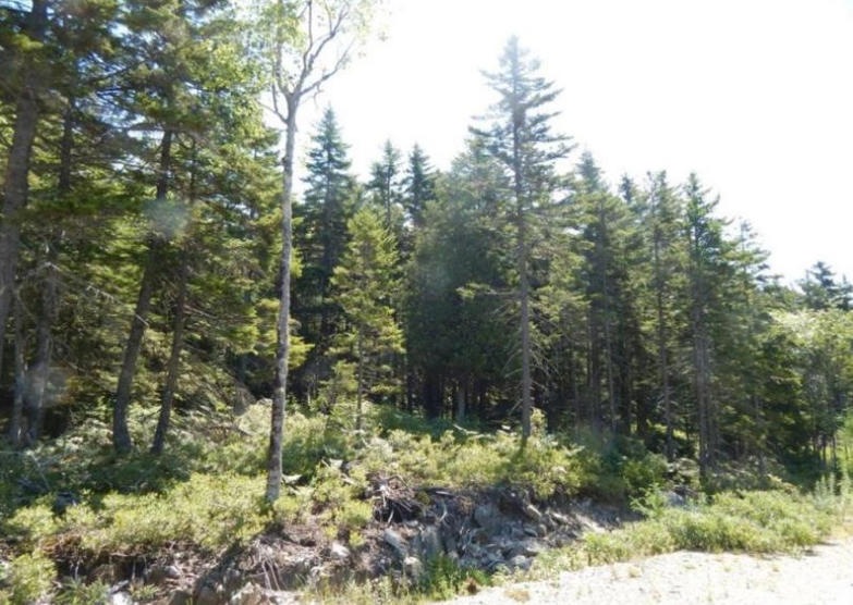4 Granite Road Southwest Harbor Maine Ph