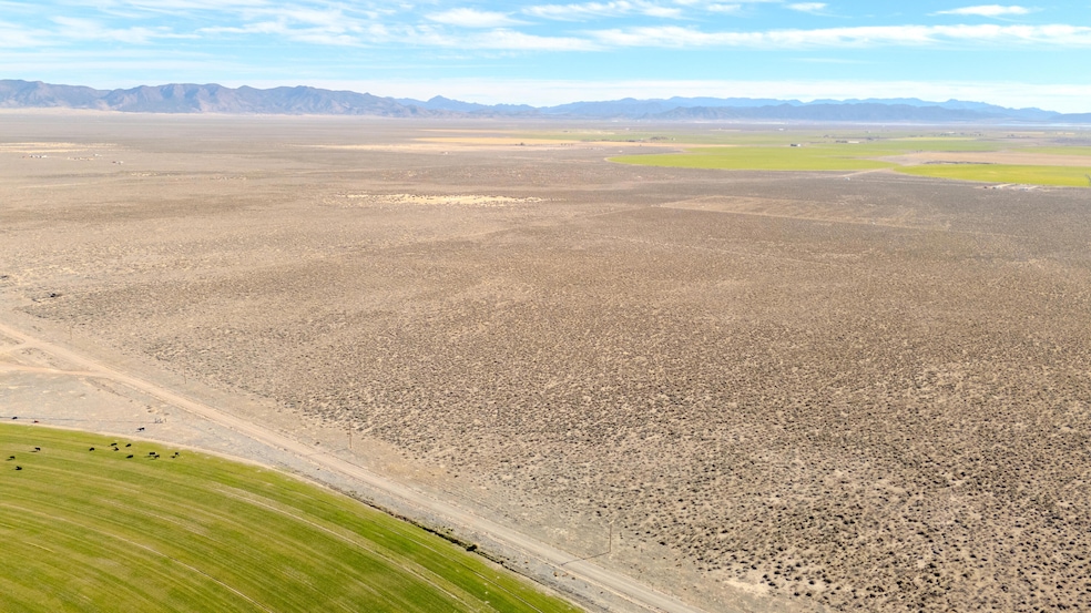 DJI_20250110185129_0237_D