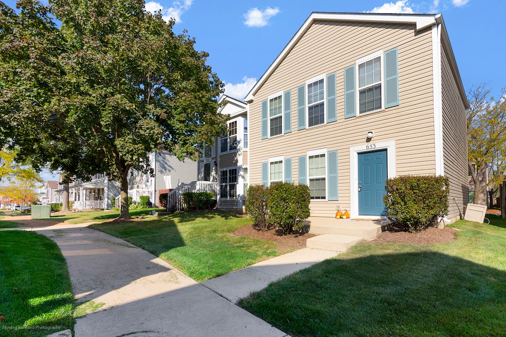 653 Serendipity Dr unit 9207, Aurora, IL 60504 - photo 1