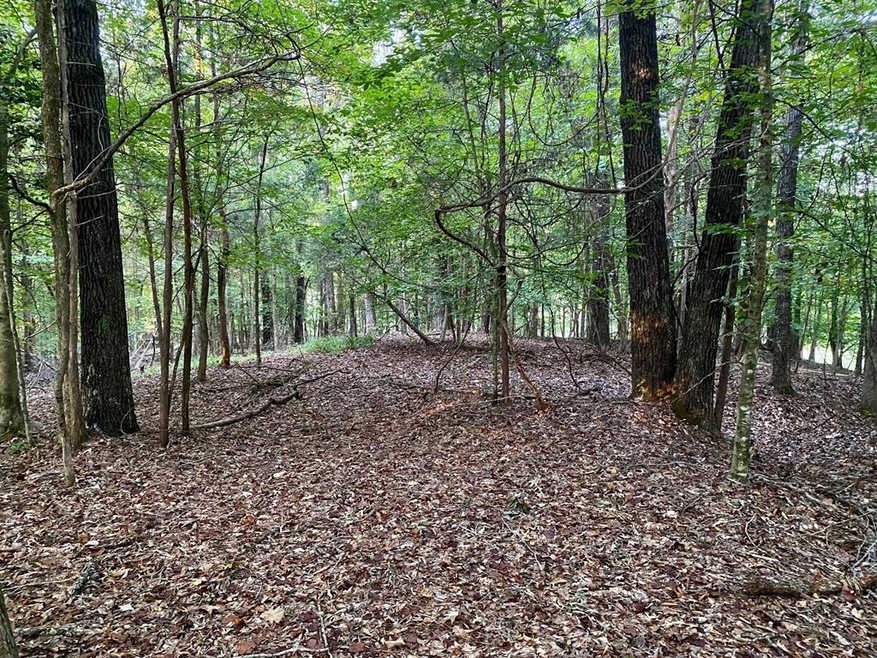 TBD County Road 415, Oxford, MS 38655 - photo 1