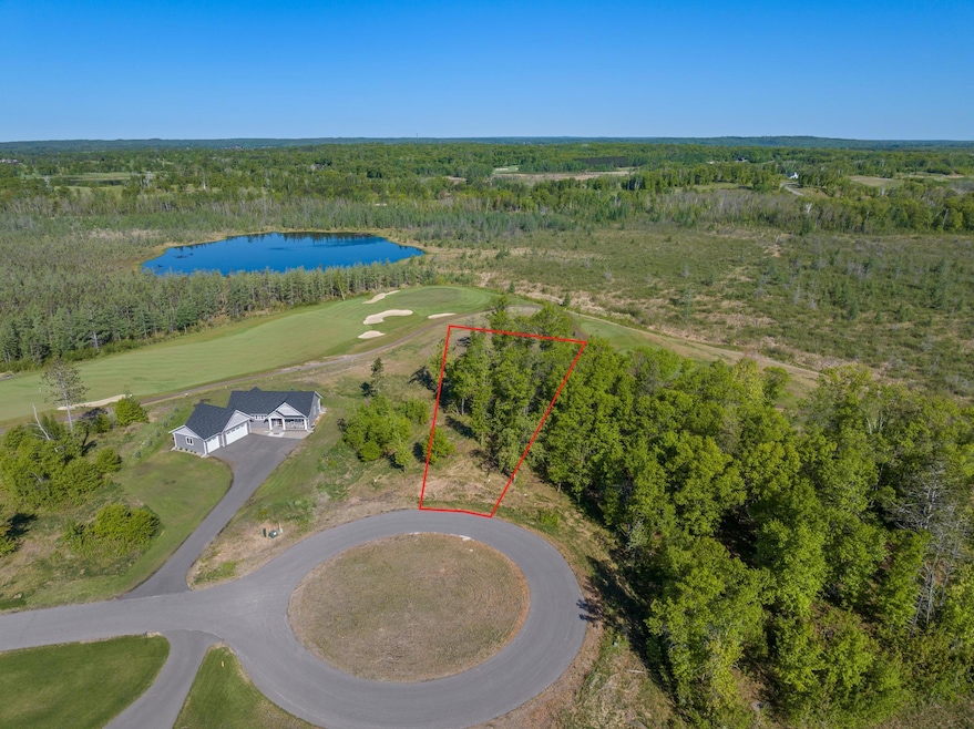 Lot 15 .58 Acres 164 Tom Lehman Dr, First Assessment, MN 56401 - photo 1