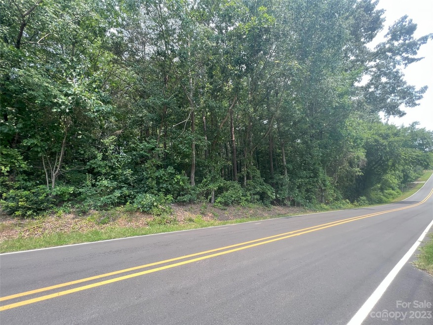 171 Arlie Loop, Statesville, NC 28677 - photo 1