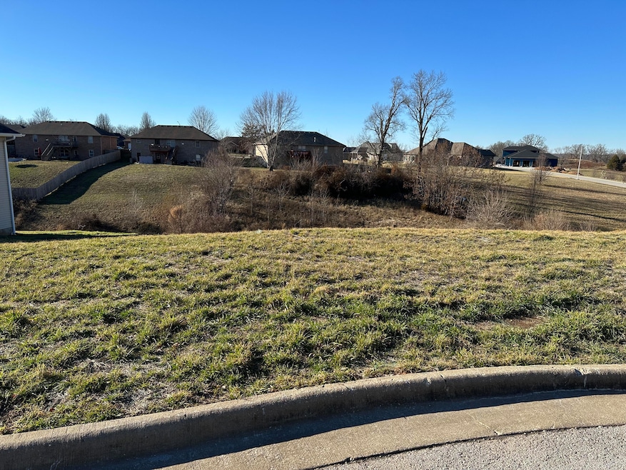 1933 N Brookhollow, Nixa, MO 65714 - photo 1