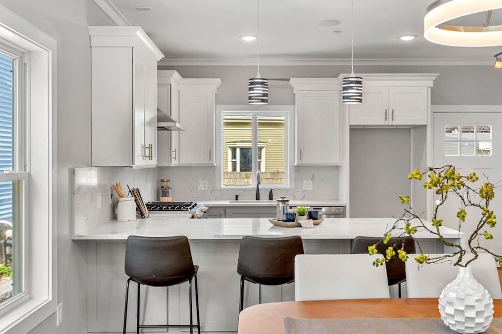 28 Langdon St unit 28, Boston, MA 02119 - photo 1