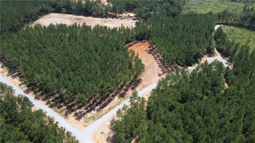 6.6 Acres Caro Ln, Franklinton, LA 70438 - photo 1