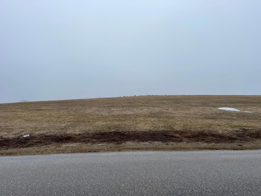 71 Buck Ridge Dr, Winona, MN 55987 - photo 1