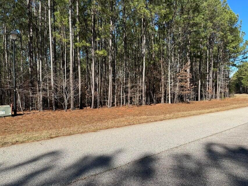 Road Frontage