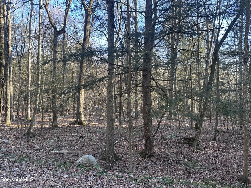 unlisted-address, Great Barrington, MA 01230 - photo 1
