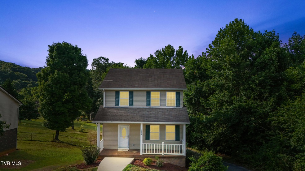 1054 Snowden Terrace, Johnson City, TN 37601 - photo 1