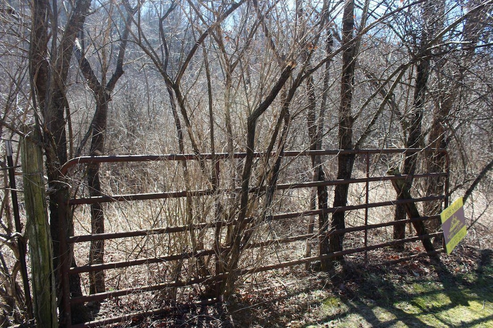 00 Eberly Dr, Summersville, WV 26651 - photo 1