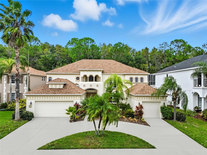 3453 Loggerhead Way, Wesley Chapel, FL 33544 - photo 1