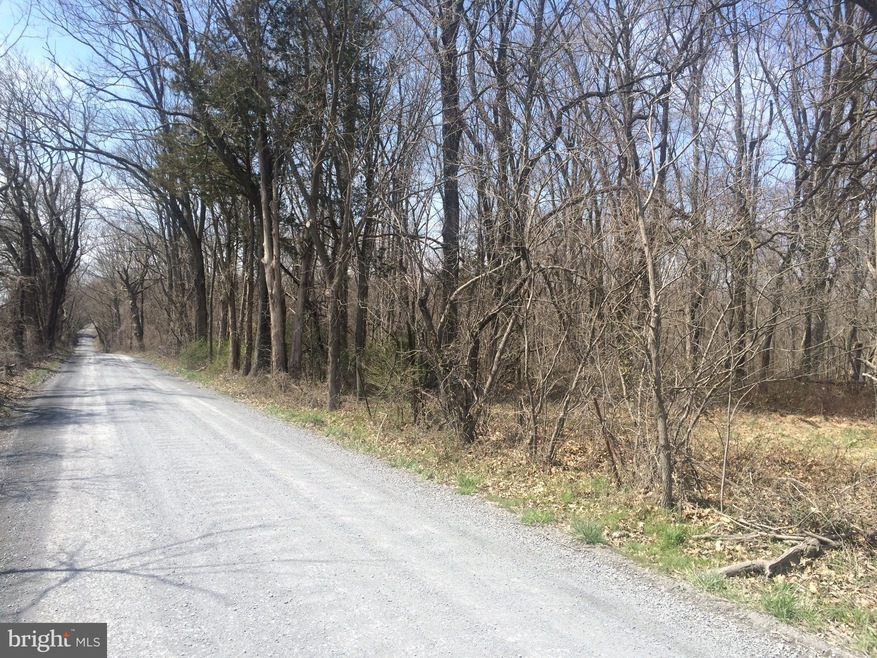 0 Mount Gilead Rd unit 1000326486, Leesburg, VA 20175 - photo 1