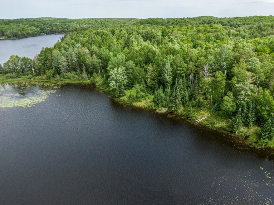 Off Pomeroy Lake Rd unit Lot 27, North of Presque Isle, MI 49947 - photo 1