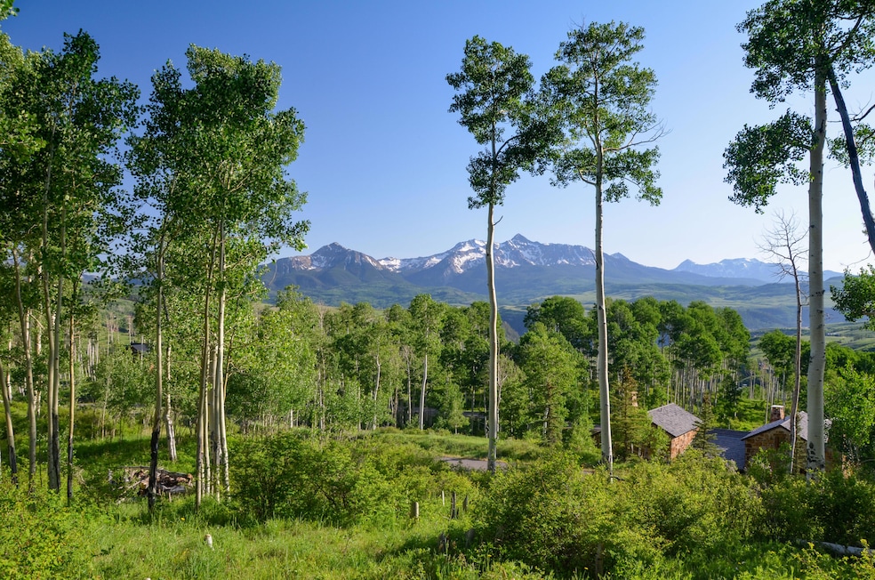 102 Cristinas Way unit 26, Telluride, CO 81435 - photo 1