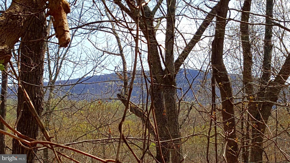 0 Rainbow Way unit 1001928622, Front Royal, VA 22630 - photo 1