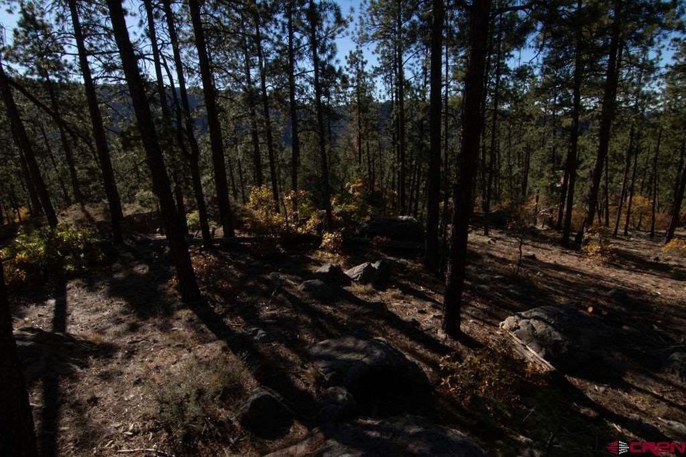 1067 Red Canyon Trail, Durango, CO 81301 - photo 1