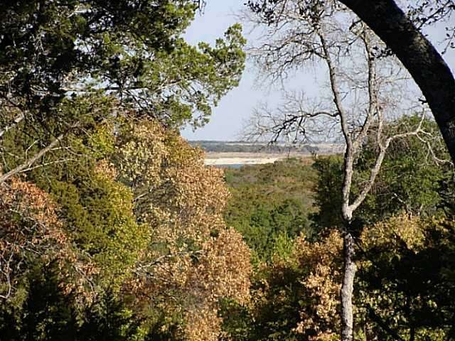 View : With just a little clearing, just look at the panoramic view waiting off your future deck or patio.