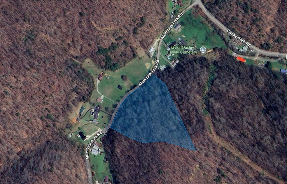 0 Alum Lick Fork Rd, Martin, KY 41649 - photo 1