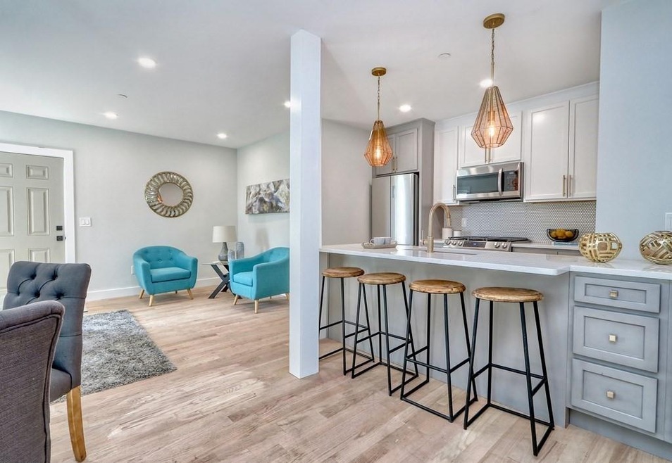 27 Alpine St unit 2, Roxbury, MA 02119 - photo 1