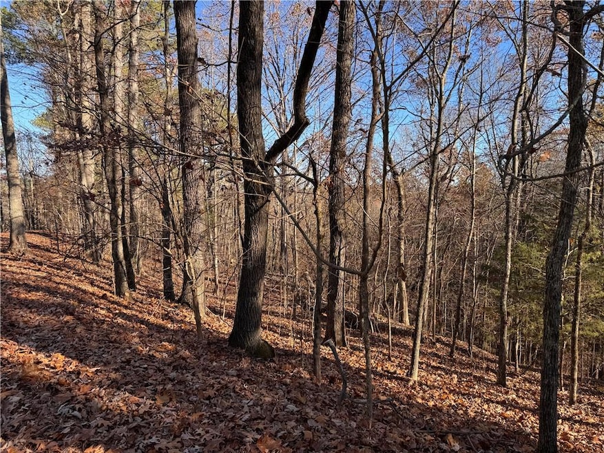 129 Adair Dr, Ranger, GA 30734 - photo 1