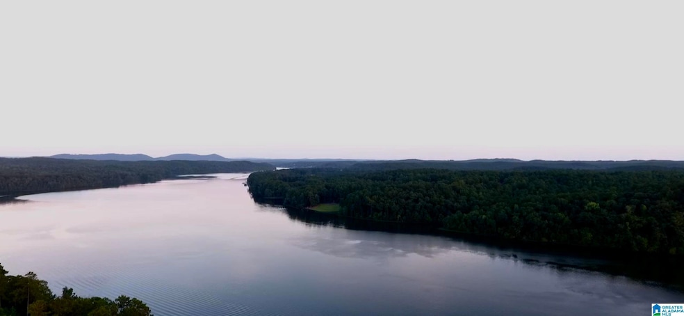 0 Stillwaters Trail unit 160 21393378, Sylacauga, AL 35151 - photo 1