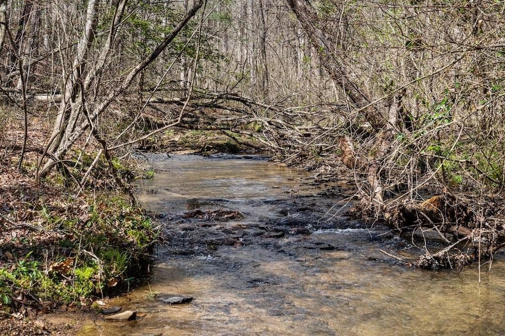 View of nature featuring a water view