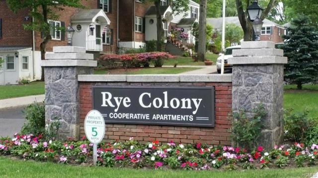 44 Peck Ave unit B, Rye, NY 10580 - photo 1