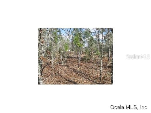 0 SW Hilliard Ave unit 422642, Dunnellon, FL 34431 - photo 1