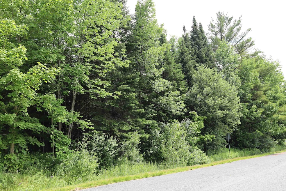 Corner lot-Richardson Rd and Goldsbury Woods Rd