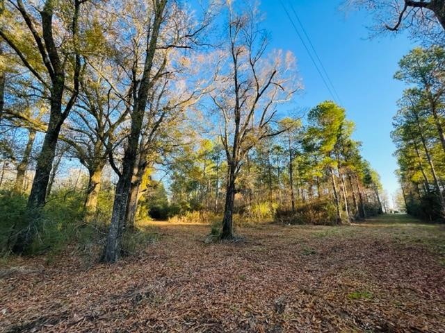 TBD Dinan Salem Rd, Tylertown, MS 39667 - photo 1