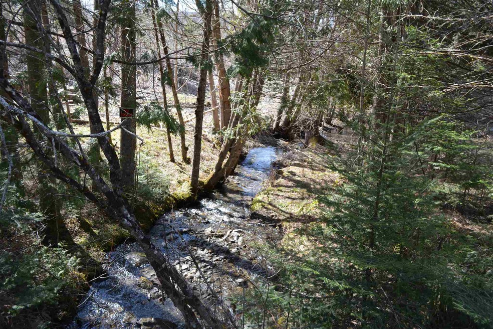 Lot 13 Brooks Park Rd, Stewartstown, NH 03576 - photo 1