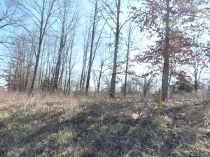 1633 Hawkins Rd, Harrison, AR 72601 - photo 1