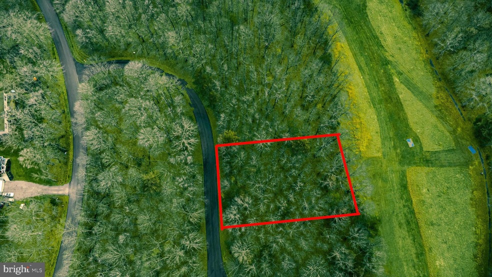 LOT 291 Merion Dr, Gordonsville, VA 22942 - photo 1