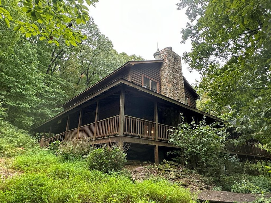 Main View