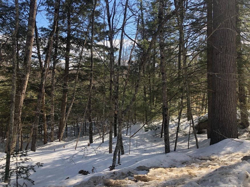 21-45A-1 N Bridgton Rd, Bridgton, ME 04009 - photo 1