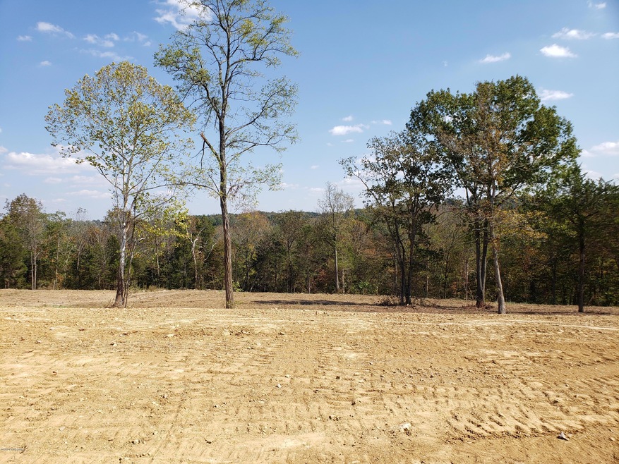 19 Kilner Goodlet Ct, Mount Washington, KY 40047 - photo 1