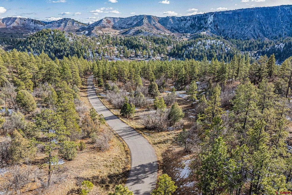 701 Durango Cliffs Dr, Durango, CO 81301 - photo 1