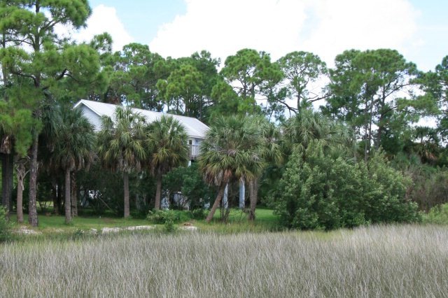 Main View
