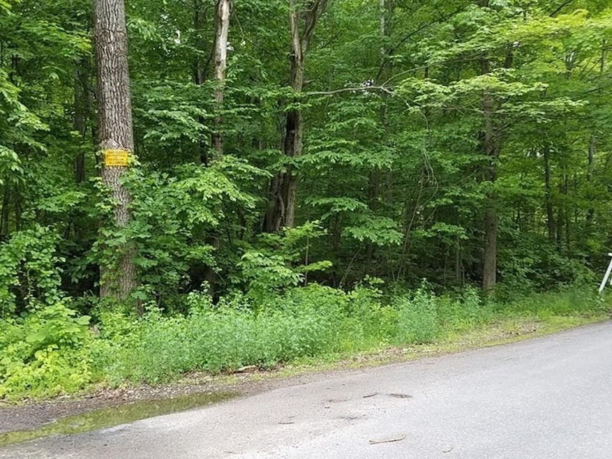 0 Mountain Rd unit 72942534, Hampden, MA 01036 - photo 1