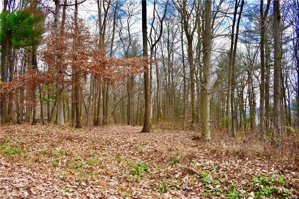 0 Rabbit Run & Orchard View unit 654256, Schuylkill County, PA 18211 - photo 1