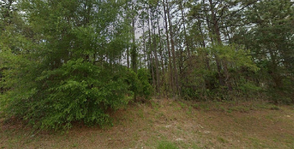 7578 N Primrose Dr, Citrus Springs, FL 34434 - photo 1