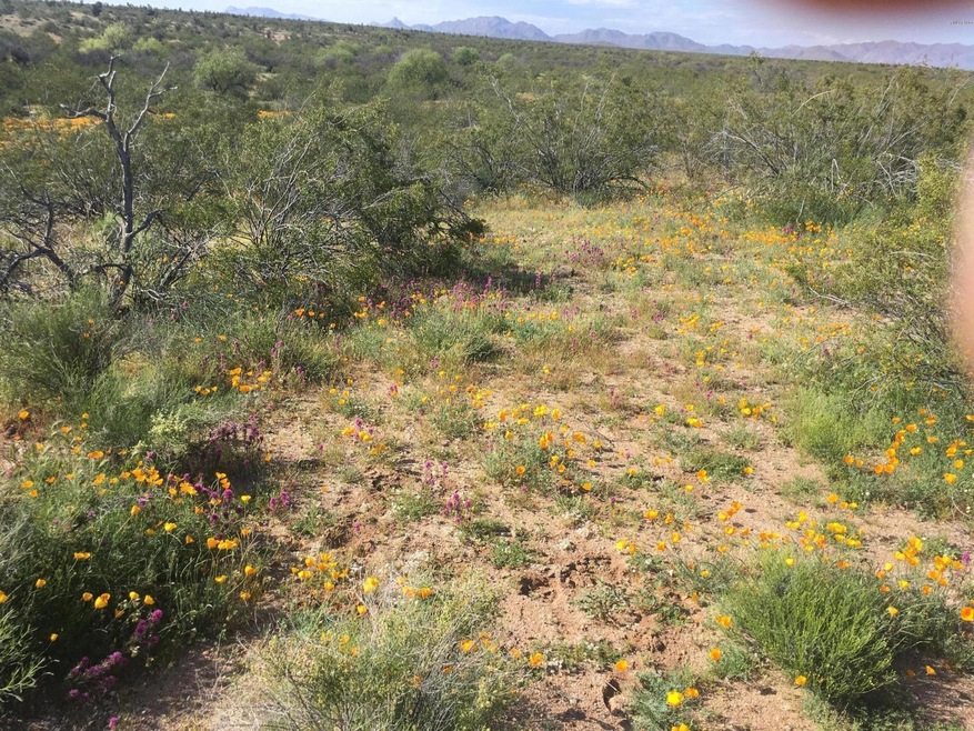 21950 W El Grande Trail unit 6, Wickenburg, AZ 85390 - photo 1
